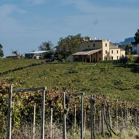 Masseria Del Vino Loreto Aprutino Ngoại thất bức ảnh