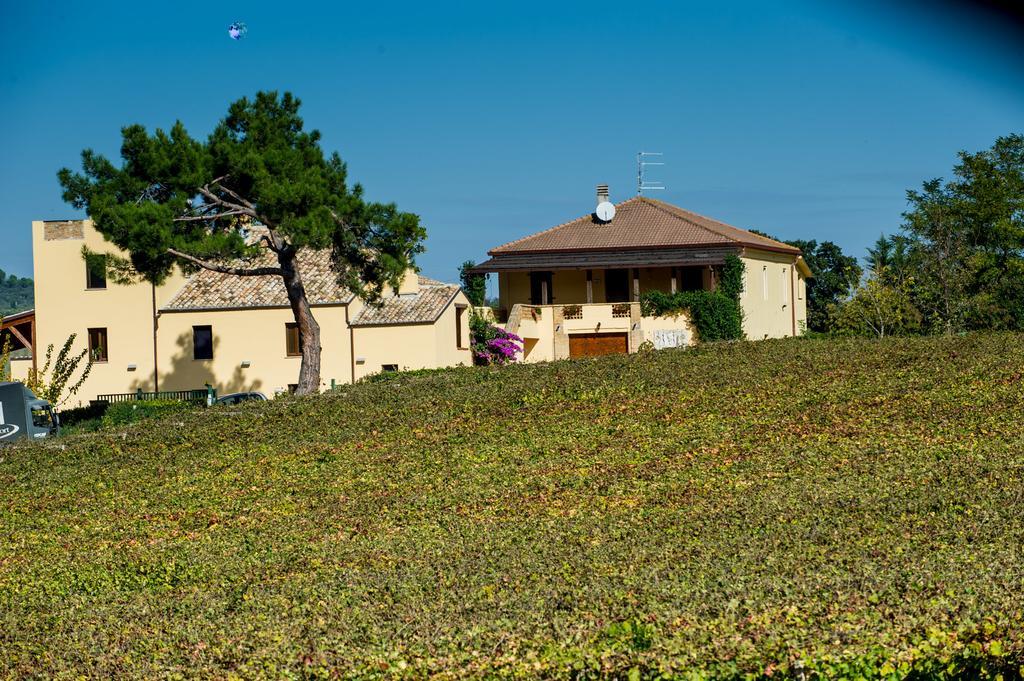 Masseria Del Vino Loreto Aprutino Ngoại thất bức ảnh