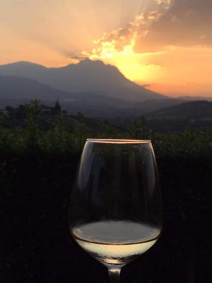 Masseria Del Vino Loreto Aprutino Ngoại thất bức ảnh