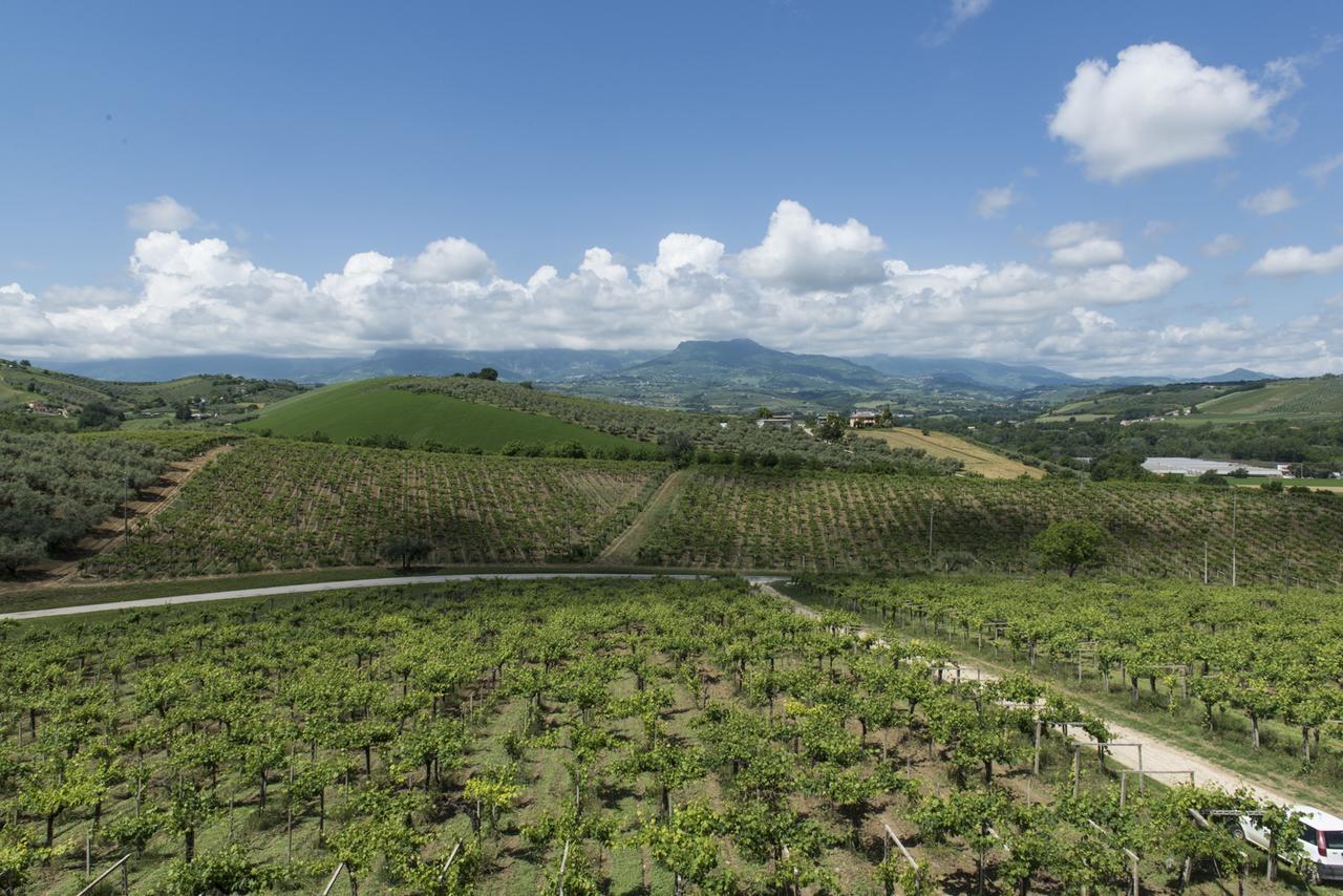 Masseria Del Vino Loreto Aprutino Ngoại thất bức ảnh